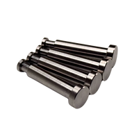 Taylor LOSI 5T & 5ive 2.0 Titanium G5 King Pins