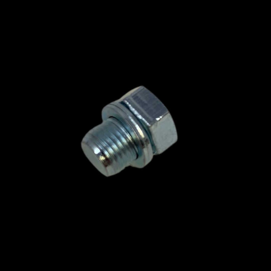 TAYLOR  BIG BLOCK Decomp Blanking Plug