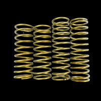 TZZ Losi 5T, 5ive 2.0 & TLR 5B TZZ Titanium alloy Rear Shock Springs (2set)