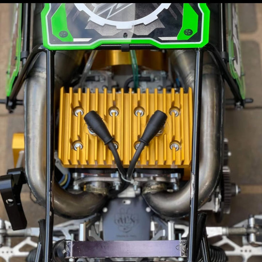 Close-up of a model car engine with visible branding on a blurred background