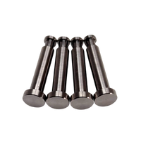 Taylor LOSI 5T & 5ive 2.0 Titanium G5 King Pins